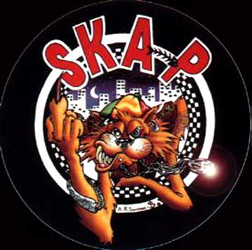 skap1wm4